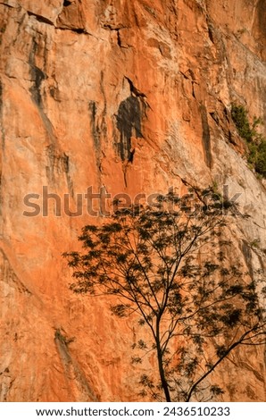 Limestone mountain cliff seen in Kin Loong Valley, Ipoh, Perak, Malaysia. Royalty-Free Stock Photo #2436510233