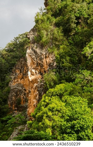 Limestone mountain seen Kin Loong Valley, Ipoh, Perak, Malaysia. Royalty-Free Stock Photo #2436510239