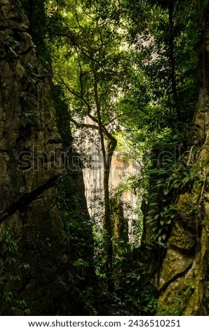Kin Loong Valley beautiful natural in Ipoh, Perak, Malaysia. Royalty-Free Stock Photo #2436510251