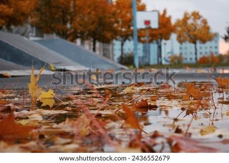 Children's playground in the city in autumn, autumn yellow leaves in a puddle
 Royalty-Free Stock Photo #2436552679