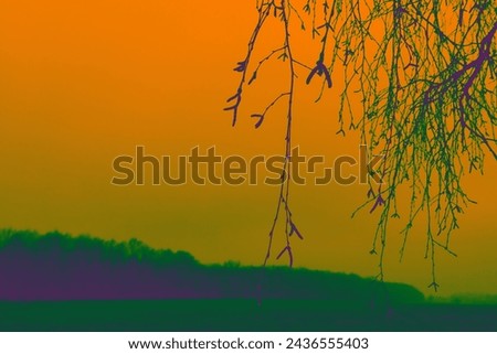 In the foreground of the bare twigs of the tree, in the background field with trees, orange sky, foggy landscape, cold weather, horizon, color photo