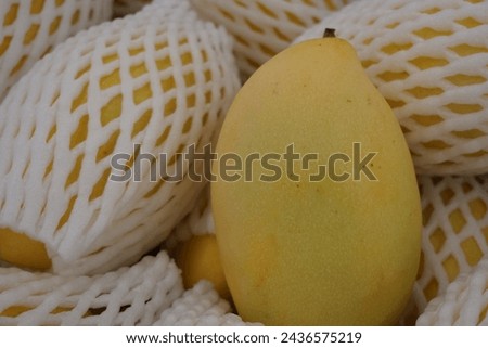 close up of a mango close up of a melon