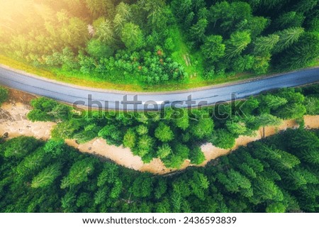 Aerial view of road in beautiful green forest at sunset in summer. Colorful landscape with roadway, river, pine trees in Carpatian mountains. Top drone view of road in the woods. Travel in Ukraine Royalty-Free Stock Photo #2436593839