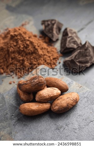 Cacao Beans and Powder: 4K Ultra HD Image	