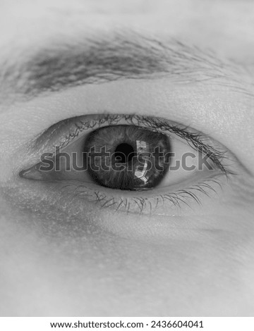 A Close Up Of A Person 's Eye In A Black And White Photo