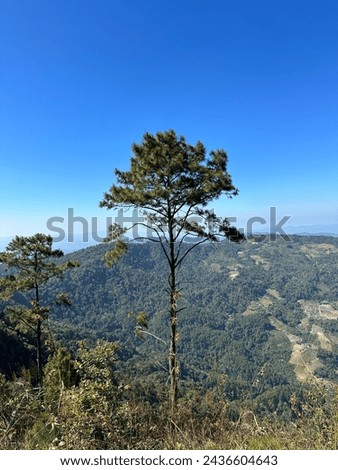 Doi Pui Peak Nature Trail viewpoint, Chiang Mai province, North Thailand