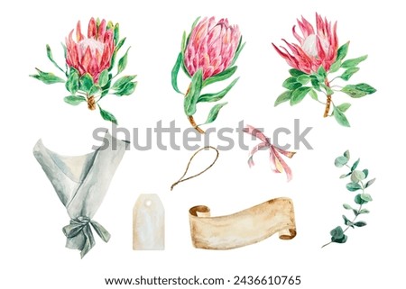 Protea watercolor, banner for text, eucalyptus branch, set. Vector illustration of pink flowers. Cards, wedding invitations, banners, covers, labels.