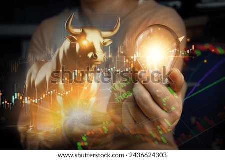 Long-term investment ideas, profits from stocks and crypto bull market trading.