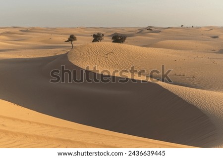 The desert near liwa, abu dhabi, united arab emirates, middle east