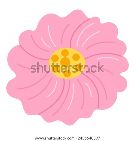 Spring flower. Blooming blossomed plant. Fragile delicate gentle herb, simple wildflower. Botanical natural flat vector illustration isolated on white background
