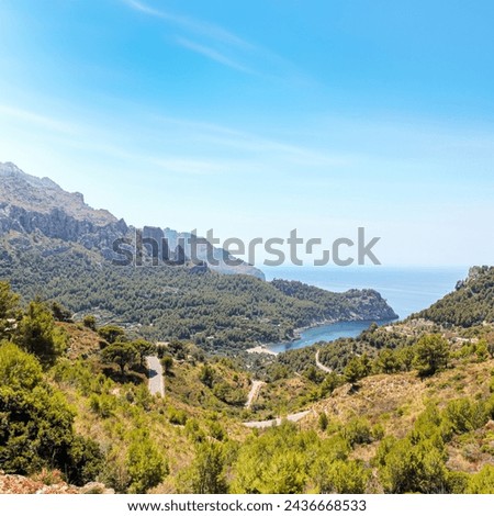 Mountain landscape with trees and plants on sunny summer day with blue sky.