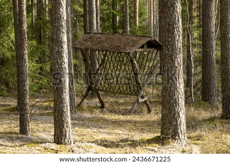 A beast feeder in the woods. Feeding of cloven-hoofed animals during the winter months. Royalty-Free Stock Photo #2436671225