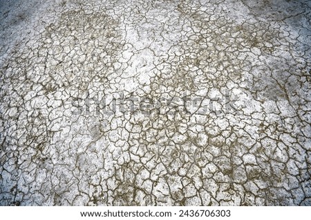 Close up of the cracked soil in Makgadikgadi pans, Botswana, Africa. Royalty-Free Stock Photo #2436706303