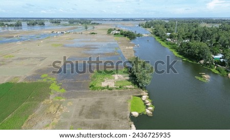 A flooded field with trees and water