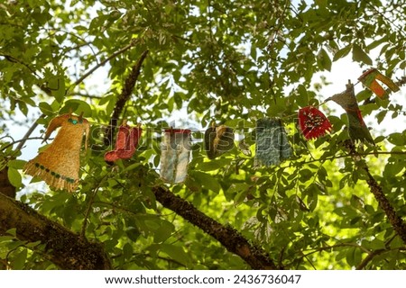 Clothes of fairies and elves drying in the forest. Enchanted Ireland.