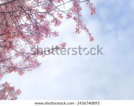 Pink tree blossoms on a blue sky with clouds, glowy, vibrant, colorful, cartoon like, fairytale like , fantasy edit