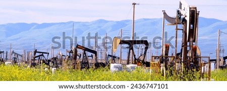 Oil Pump Jacks Amidst Super Bloom: 4K Ultra HD Image of California Fields	
