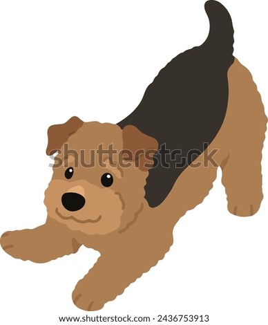 Simple and cute playful Welsh Terrier illustration flat colored