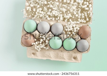 Easter Egg Assortment in Carton with White Baby's Breath on turquoise gradient Background. Pastel colored dyed eggs in package, spring holiday photo, tender soft hues, celebration food white flowers