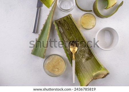 Aloe Vera Making - Homemade Organic Raw Aloe Vera Cosmetics, Drinks and Food. Women's hands in the pic dissect and cut an aloe leaf, making, Squeezing  gel and juice