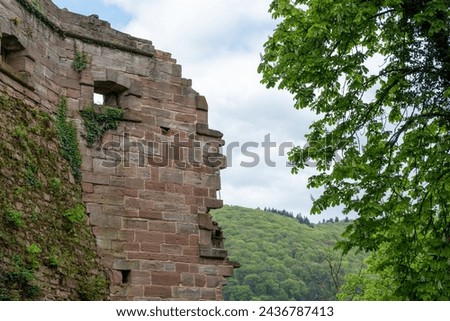 Germany, Heidelberg castle shield wall with opening for protection from enemy attack. Creeper plant on brick wall, view of nature, cloudy sky. Royalty-Free Stock Photo #2436787413