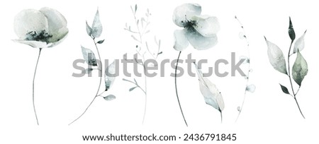 Watercolor painted floral set of black poppy, rose, ginko biloba leaves, chamomile, daisy, marigold, wild flowers. Hand drawn illustration. Traced vector watercolour clipart drawing.