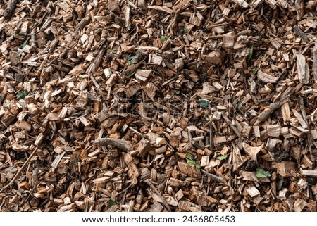 Closeup of a wood chips pile used for biomass solid fuel and as an organic mulch in gardening. Mulching with wood chips conserves and retain soil moisture, reduces weeds in flower beds