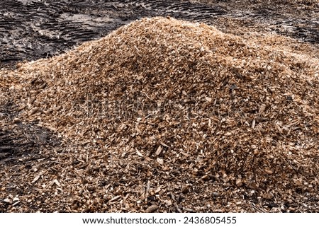A large wood chips heap used for biomass solid fuel and as organic mulch in gardening. Mulching with wood chips conserves and retains soil moisture, reduces weeds in flower and vegetable beds. Royalty-Free Stock Photo #2436805455