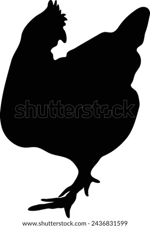 High-Quality Chicken Vector Graphics silhouette