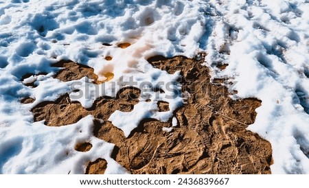 Sunny snow on frozen sandy ground. Vintage style wallpaper with snowy texture. Spring wallpaper. Springtime. March. Soft focus. film grain pixel texture. Defocused.