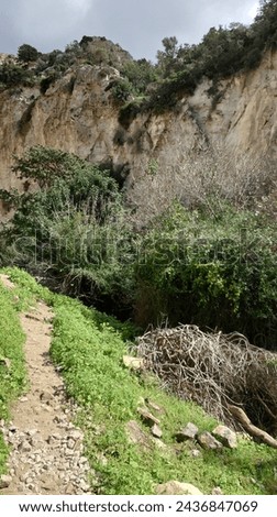 A steep rocky hill is in the lower left corner of the picture, with white rocks and some green bushes and trees on it. There is an entrance to a cave under the cliff on the upper right side,