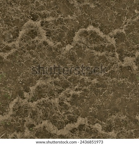 Grass close-up view of a textured surface