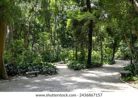 Trianon Park on Av. Paulista in São Paulo, SP, Brazil. Main avenue of the city. Royalty-Free Stock Photo #2436867157