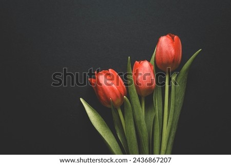 Bouquet of red tulips on dark background. Mothers day, Valentines Day, Birthday celebration concept. Greeting card. Copy space for text, top view.