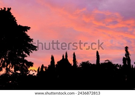 Beautiful view of the purple and orange sky with the silhouette of lush trees in the afternoon.