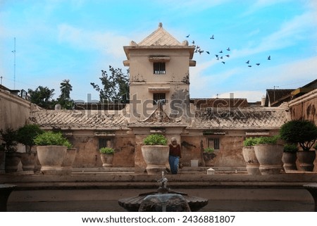 A woman in red sweater standing near giant plant pot looking at the royal family pool in Taman sari with the clear blue sky and bird flies
