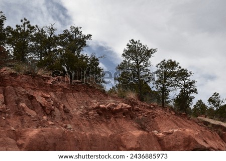 Manitou Cliff Dwellings, Manitou Springs, Colorado, USA  Royalty-Free Stock Photo #2436885973