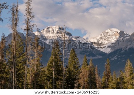 Summer time views in Banff National Park during July with stunning blue sky, beautiful day scenery in camping, campground area of Alberta, British Columbia with Mount Rundle in view. 