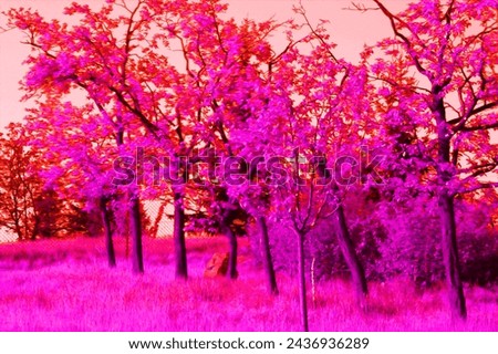 Pink landscape, pink trees and grass, color sky, natural background for text, NO AI