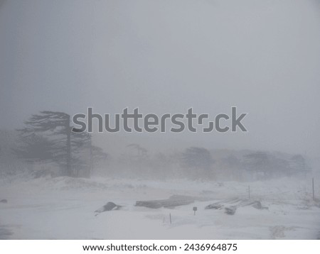Snow blizzard on Extreme North Region, heavy snow with strong wing on Iturup, Kuril islands Royalty-Free Stock Photo #2436964875