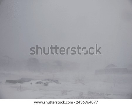 Snow blizzard on Extreme North Region, heavy snow with strong wing on Iturup, Kuril islands Royalty-Free Stock Photo #2436964877
