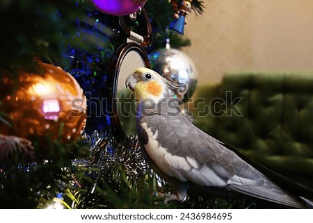 Corolla on the Christmas tree at the mirror