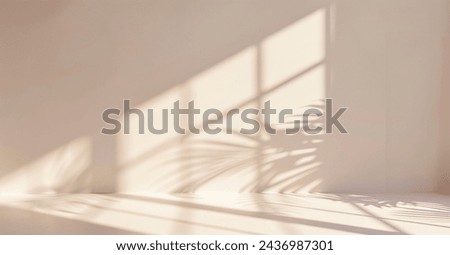 Pastel colored background with sunlight coming through the window Royalty-Free Stock Photo #2436987301