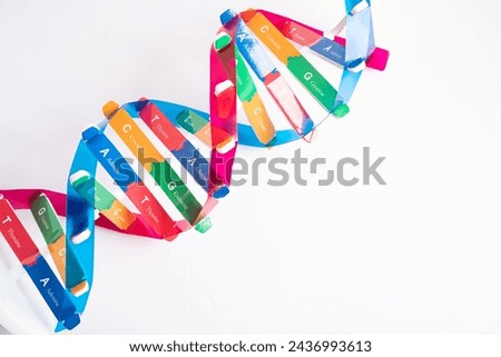 DNA or Deoxyribonucleic acid is a double helix chains structure formed by base pairs attached to a sugar phosphate backbone. Royalty-Free Stock Photo #2436993613