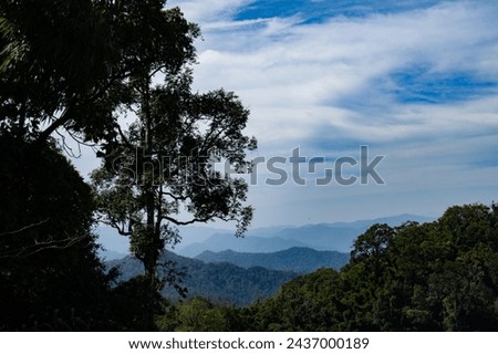 Mountain view in the morning, clear sky. Surrounding the picture are trees.