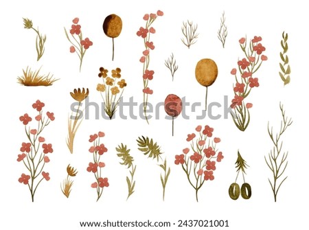 Flower clip-art. Large set of watercolor flowers and plants for your design