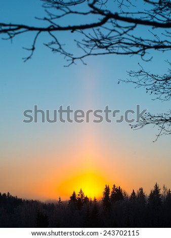 beautiful dark colorful sunrise over forest in winter frost