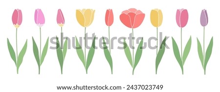 Hand-drawn tulips isolated on white