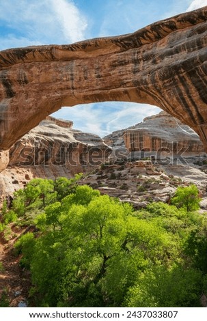 Natural Bridges National Monument in Southeast Utah, USA Royalty-Free Stock Photo #2437033807