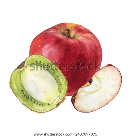 Kiwi and Apple Watercolor illustration. Hand drawn Fruits on isolated white background. Botanical clip art painting. Plant drawing for nature print and stickers. For food packaging design